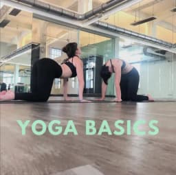 Yoga Basics